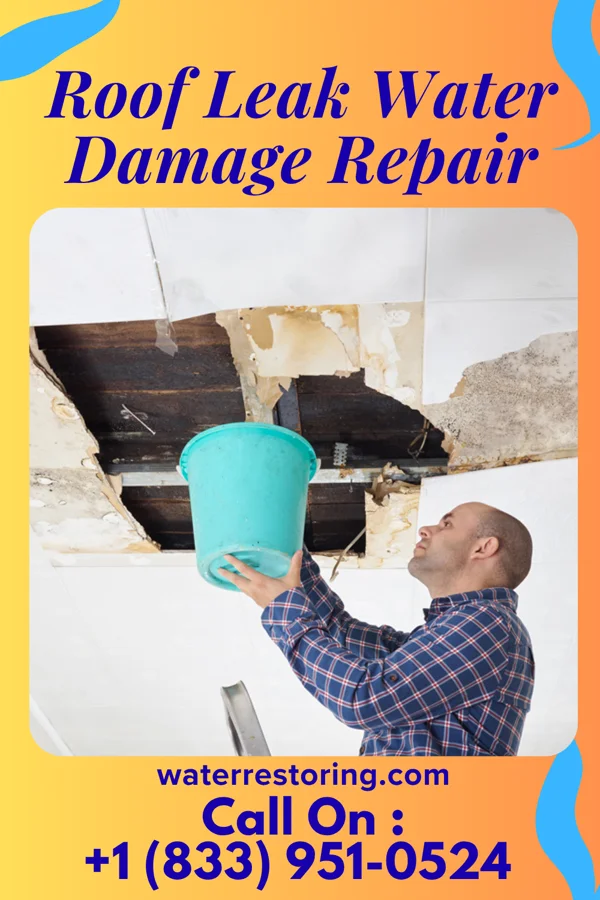 Roof Leak Water Damage Repair in Old Stine, CA